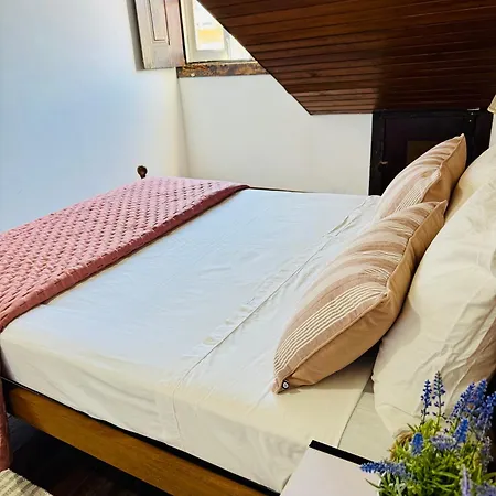Oi Albergue Braga
