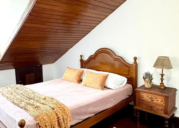 Auberge de jeunesse Oi Braga