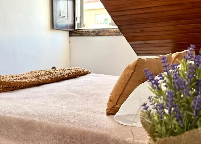 Oi Auberge de jeunesse Braga